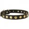 Leather Dogue de Bordeaux Collar with Brass Studs