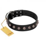 "Bizarre Affection" Designer Handmade FDT Artisan Black Leather Dogue de Bordeaux Collar