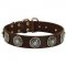 Leather Dogue de Bordeaux Collar with Blue Stones for Stylish Walking
