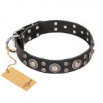 "Vintage Necklace" FDT Artisan Studded Black Leather Dogue de Bordeaux Collar