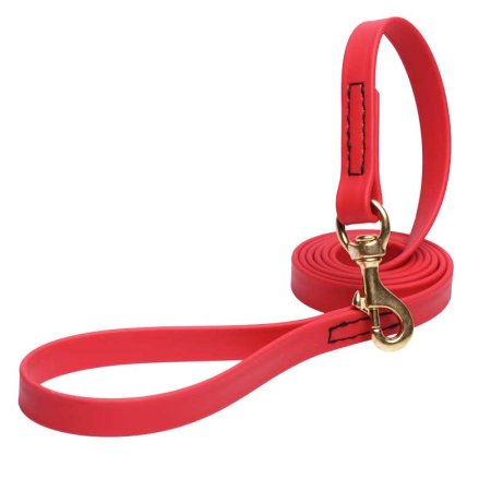 Red Waterproof Dogue de Bordeaux Leash Made of Biothane