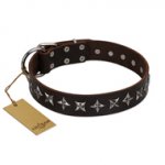 "Stars of Glory" FDT Artisan Brown Leather Dogue de Bordeaux Collar for Comfortable Walking