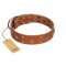 "Dreamy Gleam" FDT Artisan Tan Leather Dogue de Bordeaux Collar Adorned with Stars and Squares