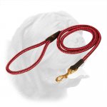 Dogue de Bordeaux Nylon Leash Multifunctional