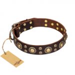 "Flower Melody" FDT Artisan Brown Leather Dogue de Bordeaux Collar with Mixed Studs