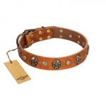 "Call of Feat" FDT Artisan Tan Leather Dogue de Bordeaux Collar with Old Bronze-like Studs and Oval Brooches