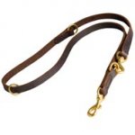 Multifunctional Leather Dogue de Bordeaux Leash