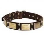 Leather Dogue de Bordeaux Collar with Nickel Studs and Brass Plates