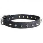 Dogue de Bordeaux Leather Collar Spiked 30 mm