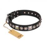 "Eternal Beauty and Style" FDT Artisan Adorned Black Leather Dogue de Bordeaux Collar