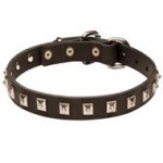 Dogue de Bordeaux Leather Collar Caterpillar Design