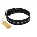 "Silver Flower" Exclusive FDT Artisan Black Leather Dogue de Bordeaux Collar with Silver-Like Studs