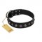 "Black Knight" Handmade FDT Artisan Black Leather Dogue de Bordeaux Collar with Silver-Like Studs