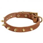 Walking Designer Leather Dogue de Bordeaux Collar with Brass Spikes