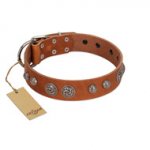 "Era Infinitum" FDT Artisan Tan Leather Dogue de Bordeaux Collar Adorned with Chrome-plated Circles