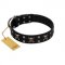 "Black Jack" Stylish Handmade FDT Artisan Black Leather Dogue de Bordeaux Collar