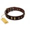 "Choco Delight" FDT Artisan Brown Leather Dogue de Bordeaux Collar with Old Bronze-like Plates and Studs