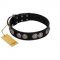 "Magic Amulete" Handcrafted FDT Artisan Black Leather Dogue de Bordeaux Collar with Chrome-Plated Shields