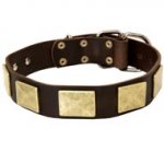 Leather Dogue de Bordeaux Collar with Vintage Massive Plates