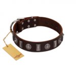 "Spiky Way" FDT Artisan Brown Leather Dogue de Bordeaux Collar with Silver-Like Decorations