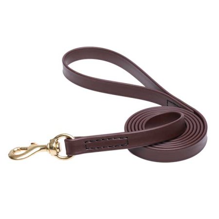 Brown Waterproof Dogue de Bordeaux Leash Made of Biothane
