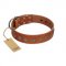 "Lucky Star" Handmade FDT Artisan Designer Tan Leather Dogue de Bordeaux Collar with Round Plates