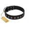 "Silent Star" Handmade FDT Artisan Designer Black Leather Dogue de Bordeaux Collar with Engraved Plates