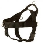 Dogue de Bordeaux Harness Nylon with Patches