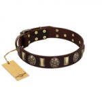 "Skull's Adventure" FDT Artisan Brown Leather Dogue de Bordeaux Collar with Plates and Ovals
