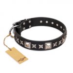 "Space Walk" FDT Artisan Black Leather Dogue de Bordeaux Collar with Adornments