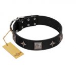"Black Cavalier" Handmade FDT Artisan Black Leather Dogue de Bordeaux Collar with Silver-Like Stars and Large Plates