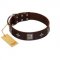 "Cold Star" Designer FDT Artisan Brown Leather Dogue de Bordeaux Collar with Silver-Like Adornments