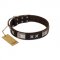 "Satin Beauts" FDT Artisan Brown Leather Dogue de Bordeaux Collar with Stars and Plates