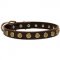 Leather Dogue de Bordeaux Collar with Brass Dotted Studs