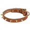 Walking Designer Leather Dogue de Bordeaux Collar with Brass Spikes