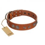 "Splendid Armor" Premium Quality FDT Artisan Tan Designer Dogue de Bordeaux Collar with Shields and Stars
