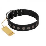 "Silent Star" Handmade FDT Artisan Designer Black Leather Dogue de Bordeaux Collar with Engraved Plates
