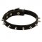 Stylish Spiked Leather Dogue de Bordeaux Collar for Walking