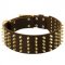 Wide Spiked Leather Dogue de Bordeaux Collar