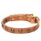 Leather Dogue de Bordeaux Collar with Brass Half-Ball Studs