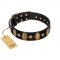 "Venerable Pawty" FDT Artisan Black Leather Dogue de Bordeaux Collar with Old Bronze-like Ovals and Studs