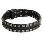 Leather Dogue de Bordeaux Collar with "Caterpillar" Studs