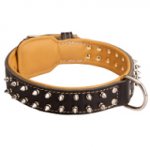 Spiked Dogue de Bordeaux Collar Padded with Nappa Leather