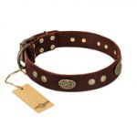 "Old-fashioned Glamor" FDT Artisan Brown Leather Dogue de Bordeaux Collar with Old Bronze Look Plates and Circles