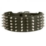 Dogue de Bordeaux Leather Collar Spiked and Studded