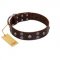 "Skull Valley" Handcrafted FDT Artisan Brown Leather Dogue de Bordeaux Collar with Skulls