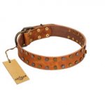 "Walk and Shine" FDT Artisan Tan Leather Dogue de Bordeaux Collar with Antiqued Studs