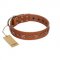 "Star Shine" Exclusive FDT Artisan Tan Leather Dogue de Bordeaux Collar with Silver-Like Adornments
