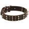 Walking Leather Dogue de Bordeaux Collar Decorated with Spikes and Studs