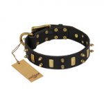 "Medieval Style" FDT Artisan Leather Dogue de Bordeaux Collar with Brass Plated Plates and Spikes
